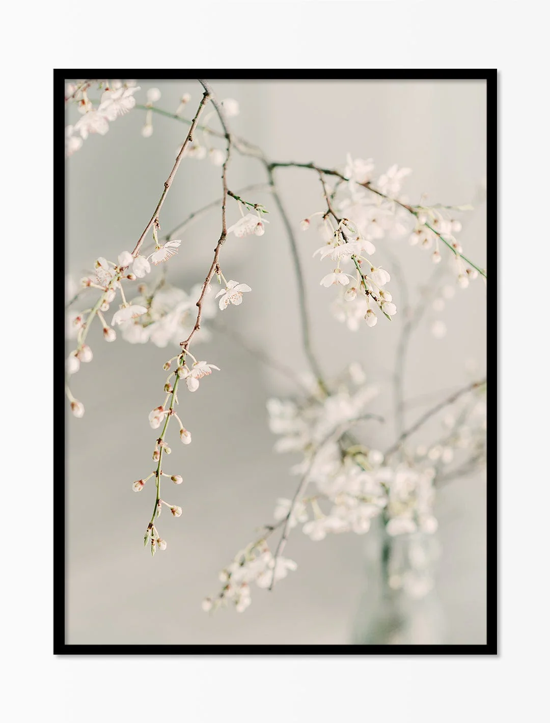 Blossom Art